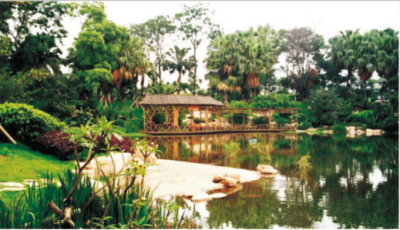 佛山市中山公園景觀工程