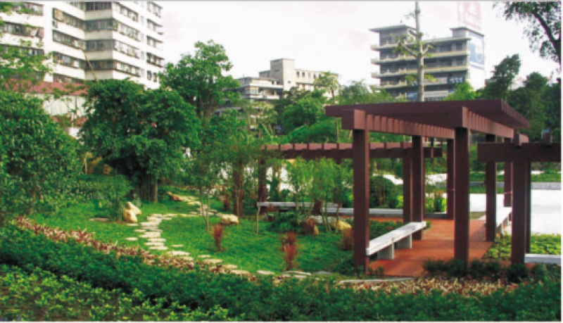 文沙路堤人民橋西側綠化工程