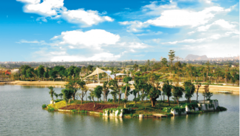 順德北滘公園綠化工程